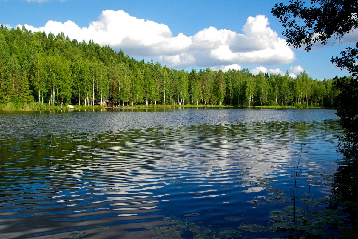 Natur in Finnland. Foto: Pixabay, CC0