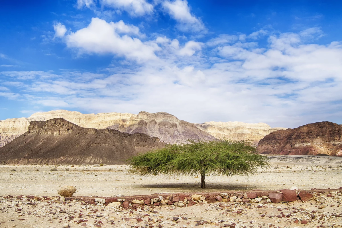 Timna Nationalpark im Süden von Israel. Image by Jim Black from Pixabay