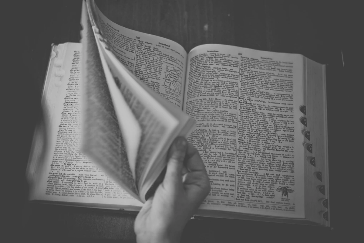 „Finden Sie Ihre Übersetzungen deutlich schneller als mit herkömmlichen Wörterbüchern“ (Symbolbild). Foto: StockSnap, CC0